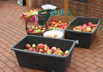 Nächster Regionalmarkt: 21.09. 2019